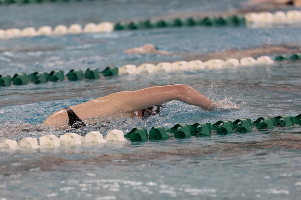 %_tempFileName1M6A9236%