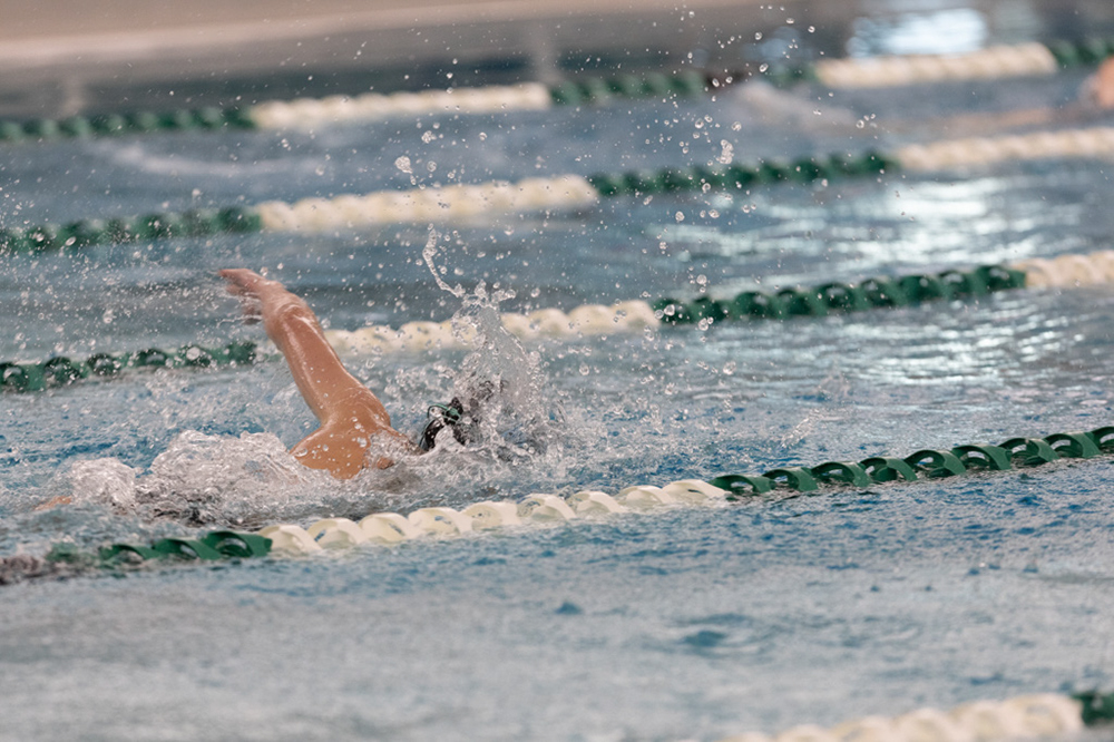 %_tempFileName1M6A9272%