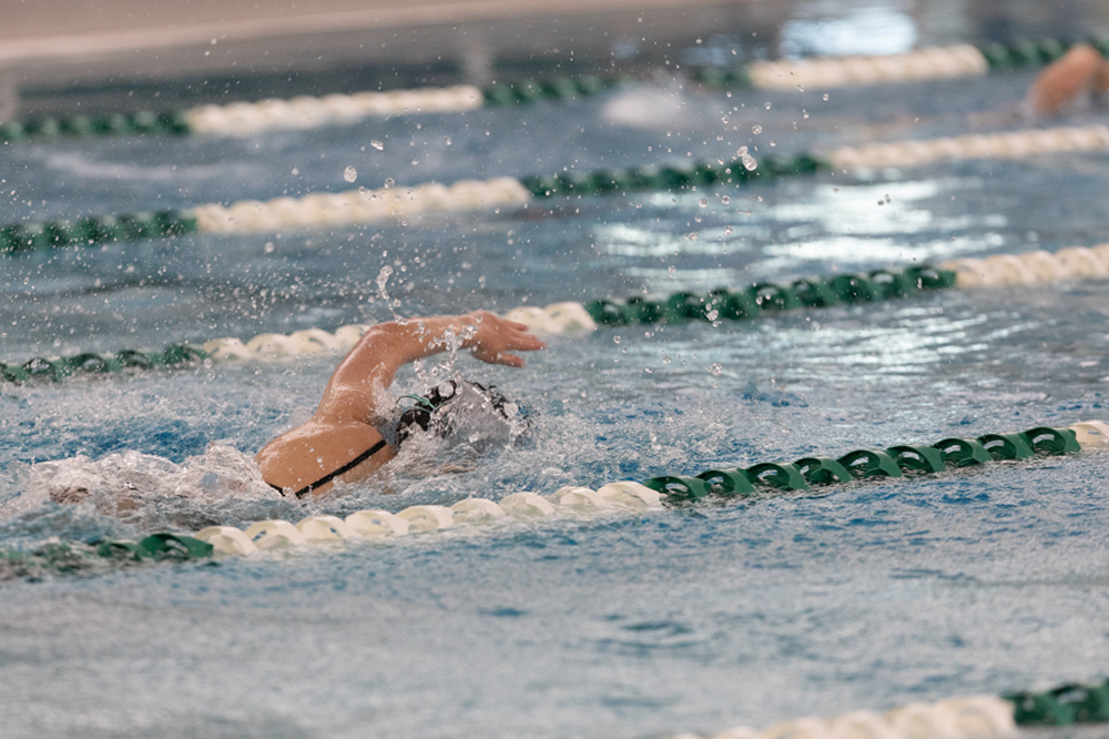 %_tempFileName1M6A9273%