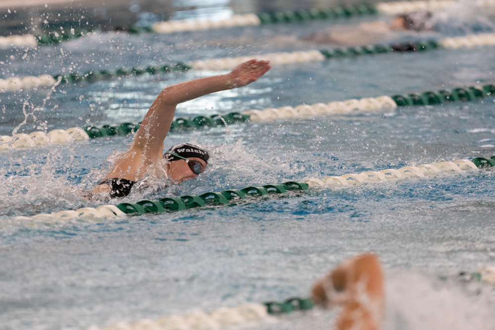 %_tempFileName1M6A9281%