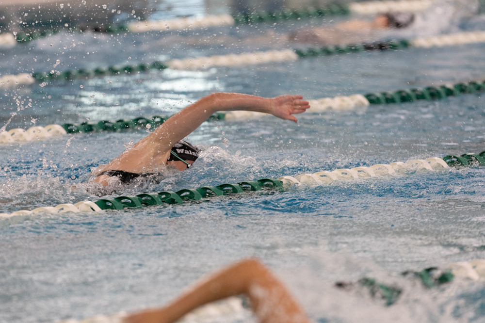 %_tempFileName1M6A9282%