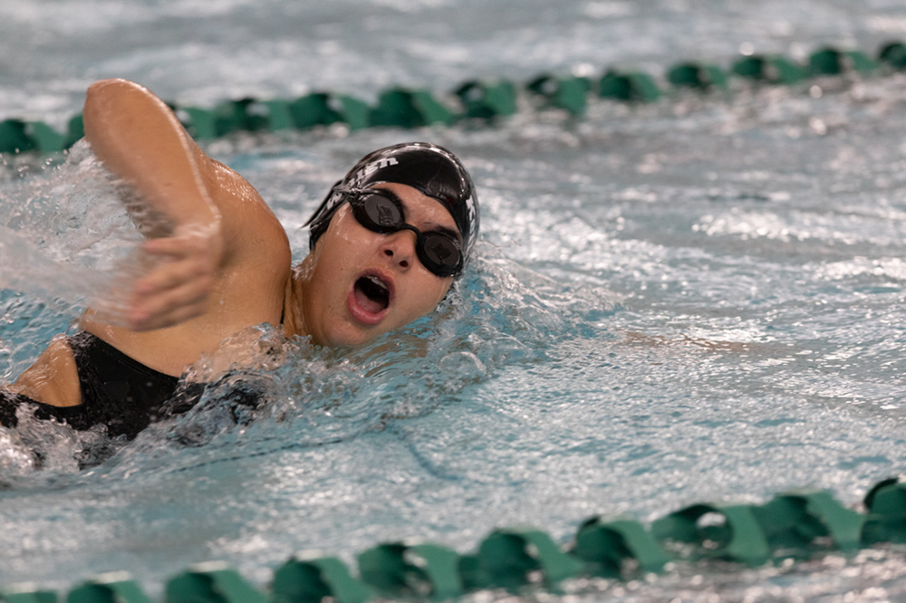 %_tempFileName1M6A9284%