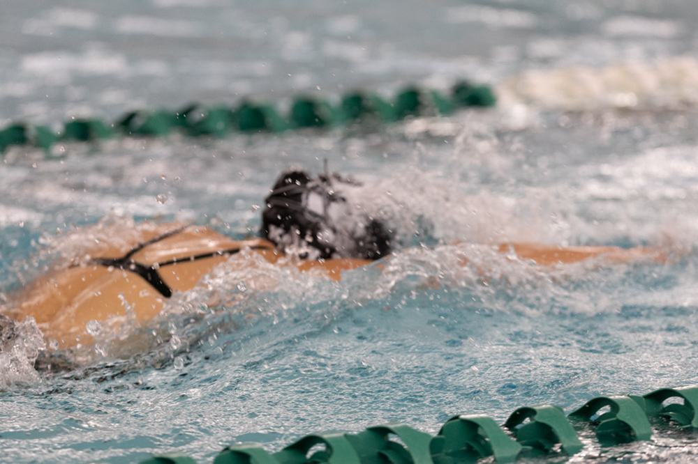 %_tempFileName1M6A9288%