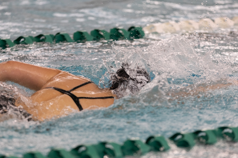 %_tempFileName1M6A9290%