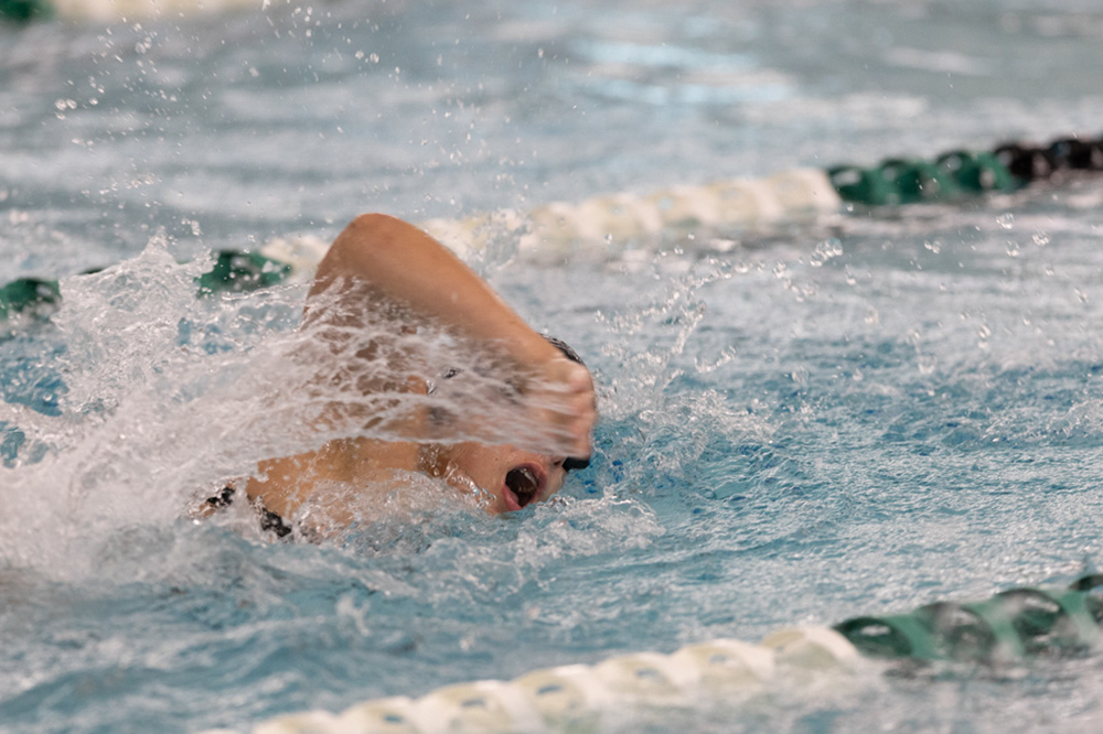 %_tempFileName1M6A9293%