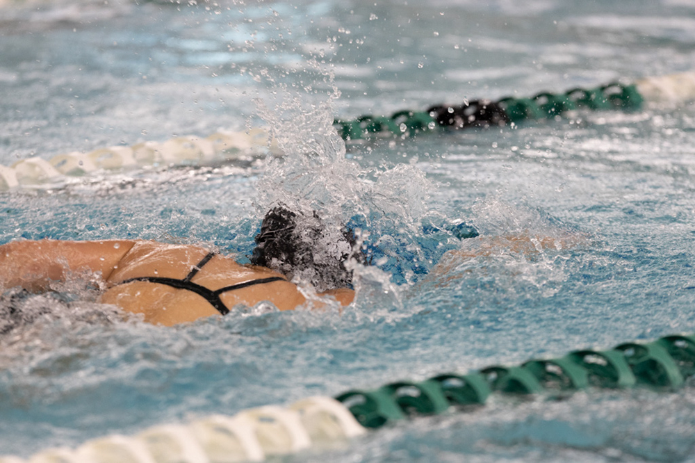 %_tempFileName1M6A9298%