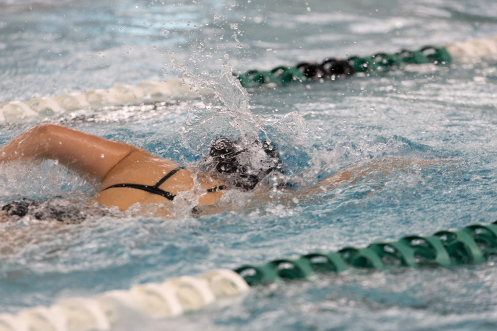 %_tempFileName1M6A9299%