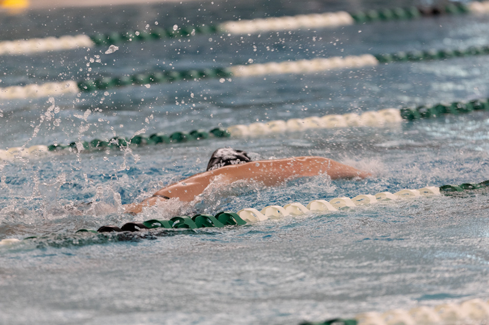 %_tempFileName1M6A9313%