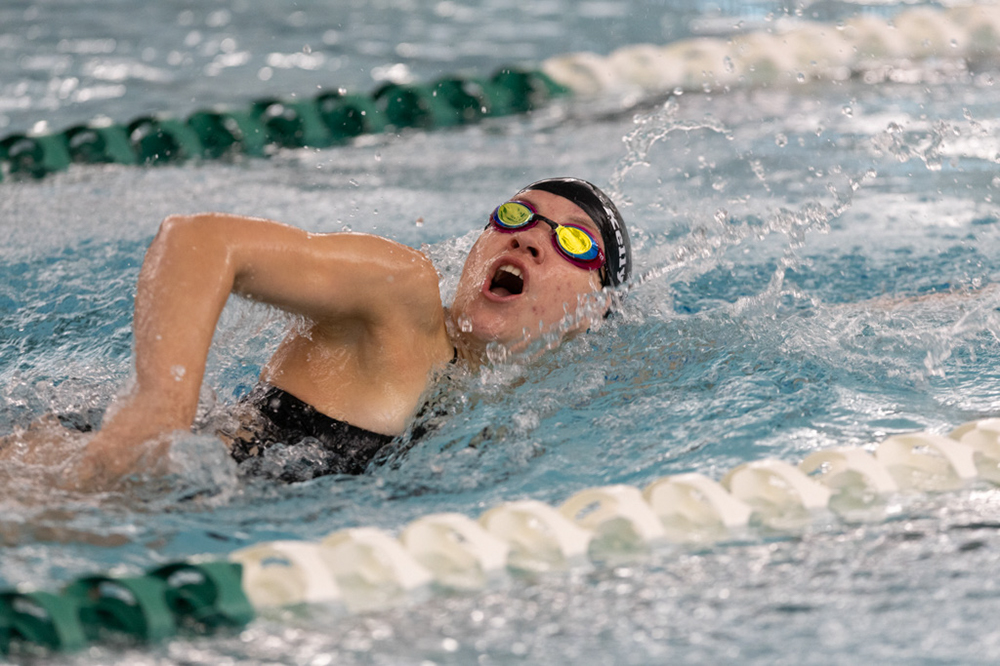 %_tempFileName1M6A9317%