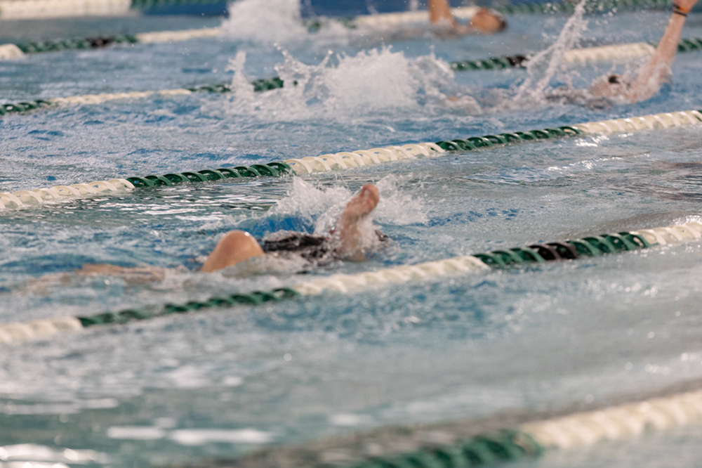 %_tempFileName1M6A9331%