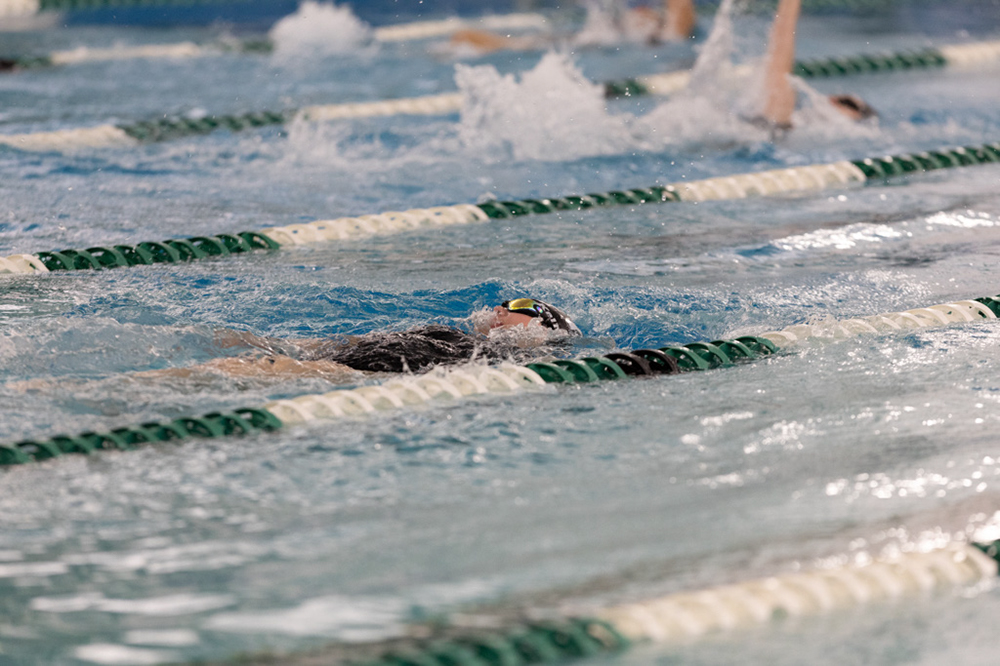 %_tempFileName1M6A9335%