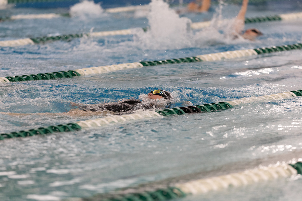 %_tempFileName1M6A9336%