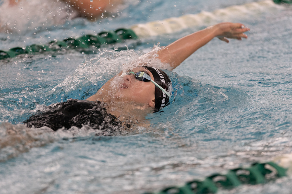 %_tempFileName1M6A9356%