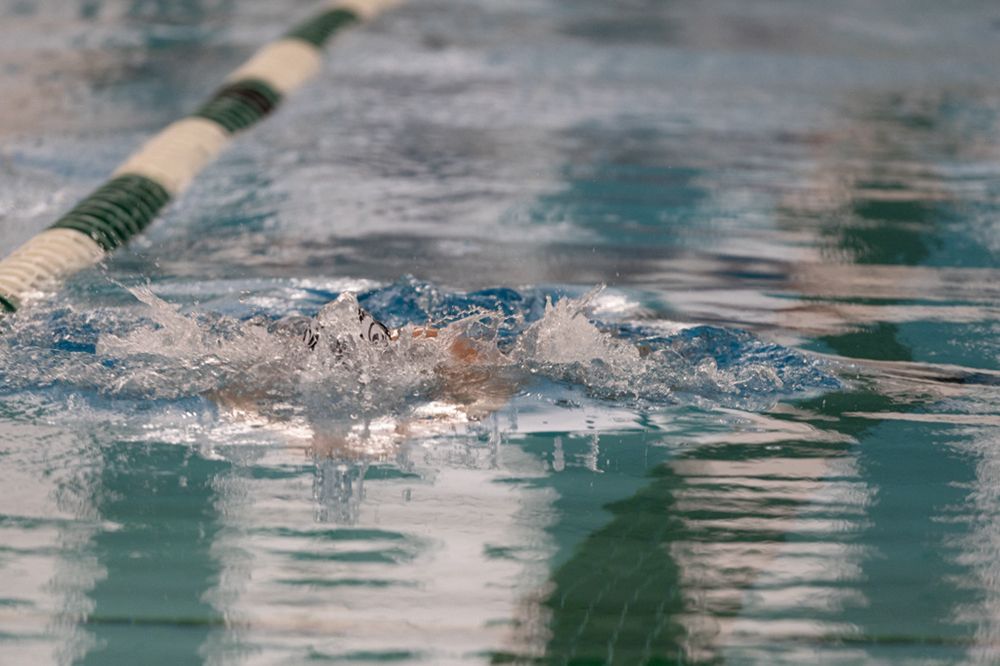 %_tempFileName1M6A9446%