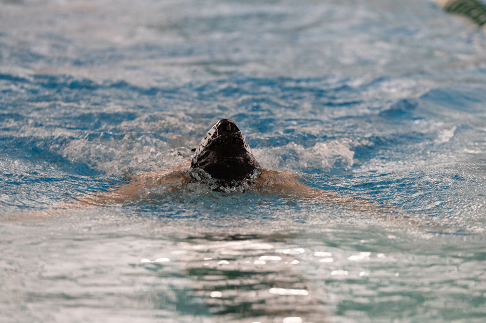 %_tempFileName1M6A9495%