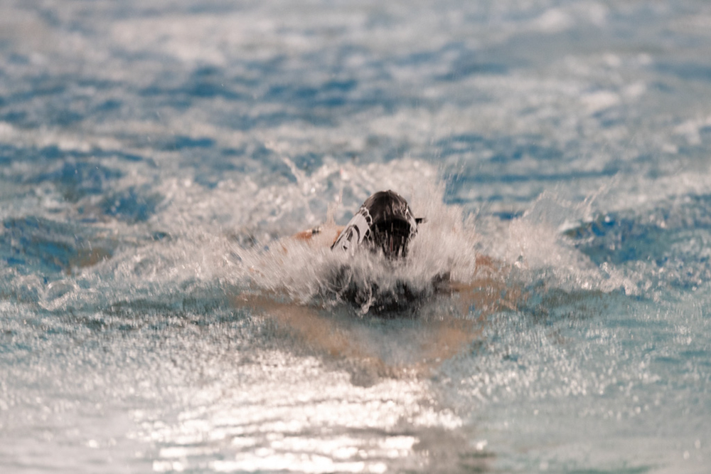 %_tempFileName1M6A9513%