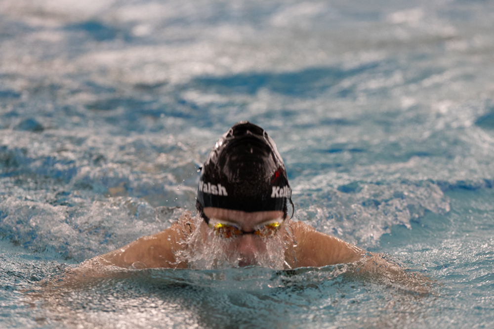 %_tempFileName1M6A9515%