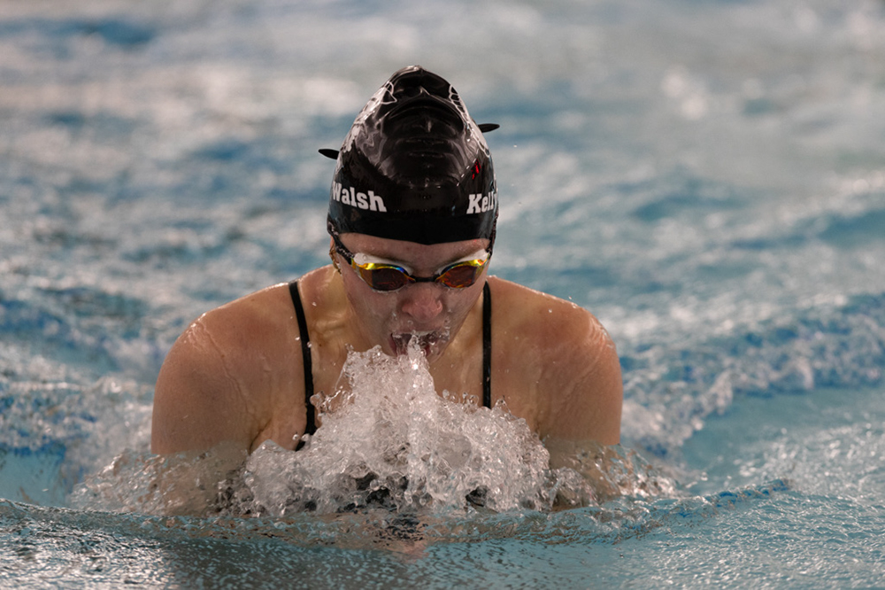 %_tempFileName1M6A9518%