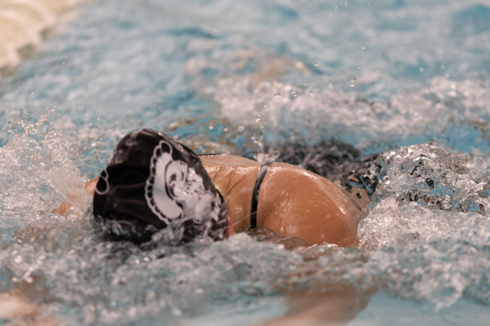 %_tempFileName1M6A9533%