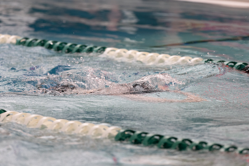 %_tempFileName1M6A9561%