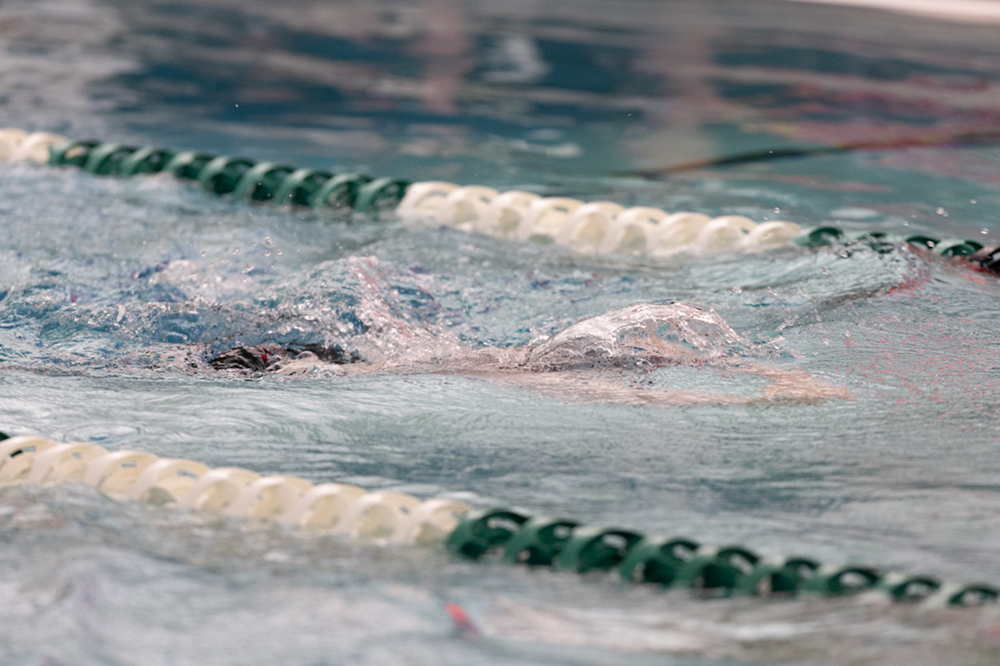 %_tempFileName1M6A9562%