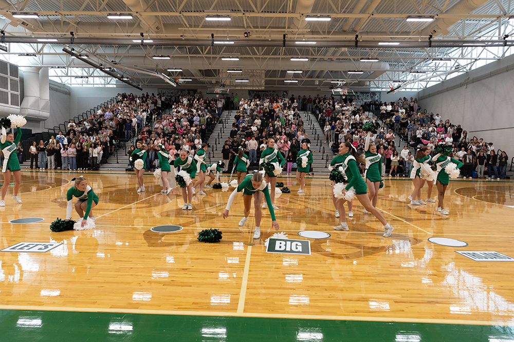 %_tempFileName1M6A4550%