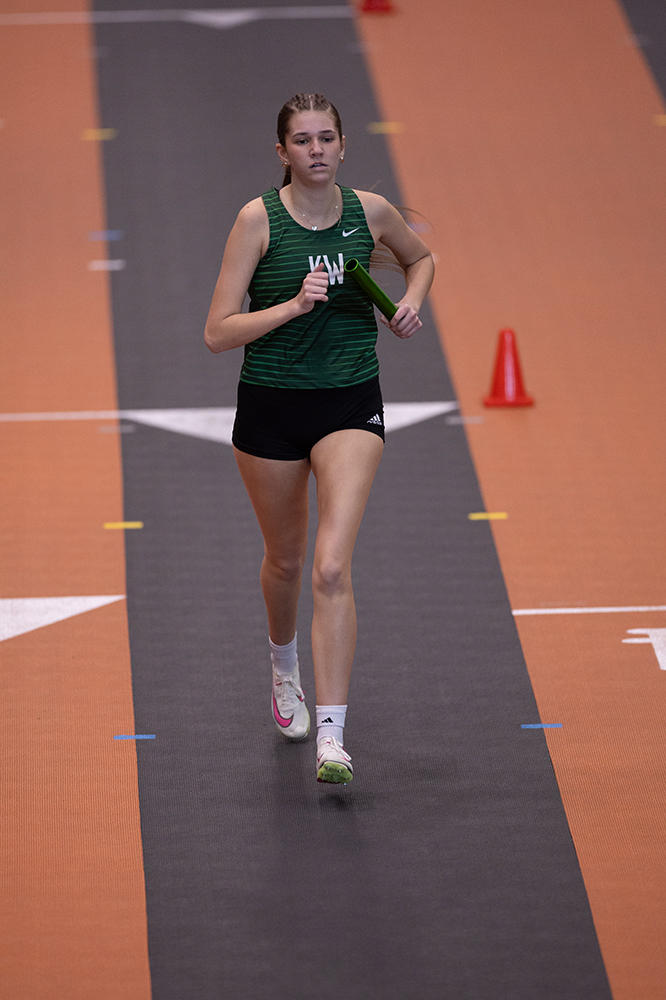 %_tempFileName1M6A2984%