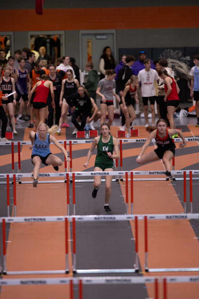 %_tempFileName1M6A3446%