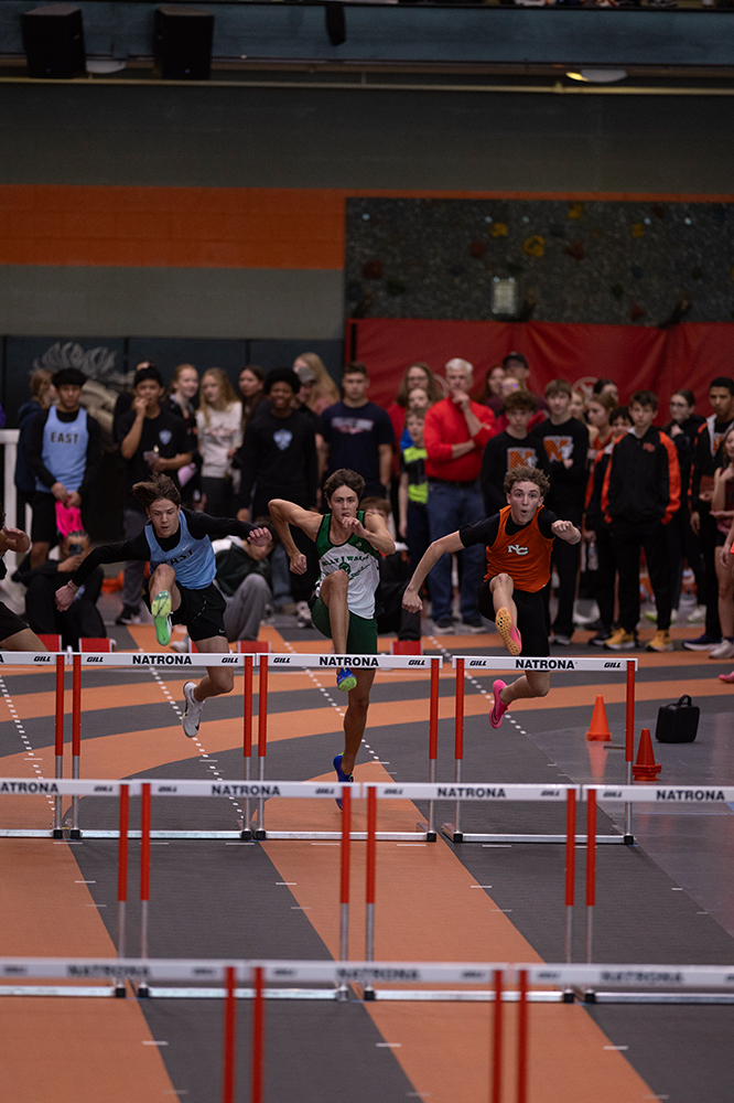 %_tempFileName1M6A3729%