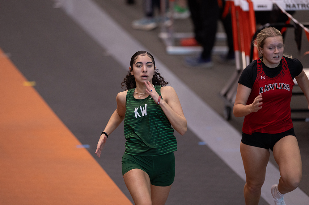 %_tempFileName1M6A3935%