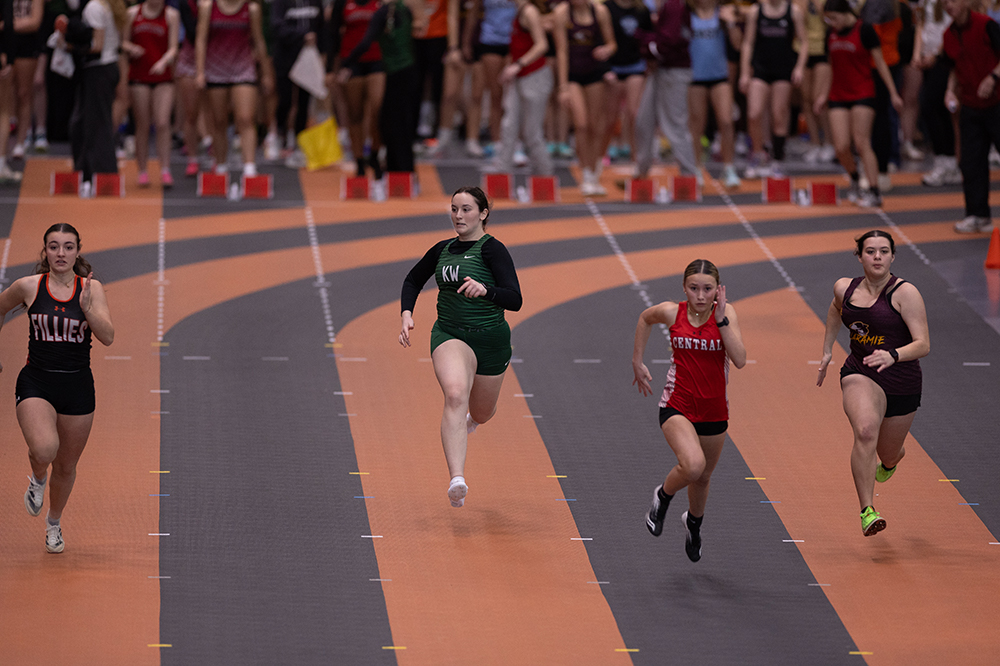 %_tempFileName1M6A3973%