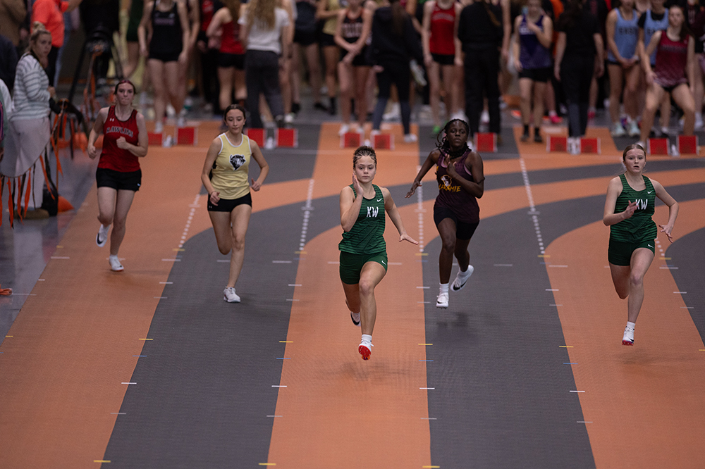 %_tempFileName1M6A4233%