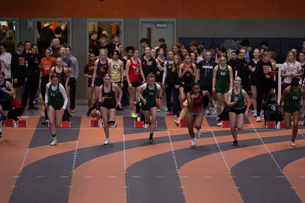 %_tempFileName1M6A4313%