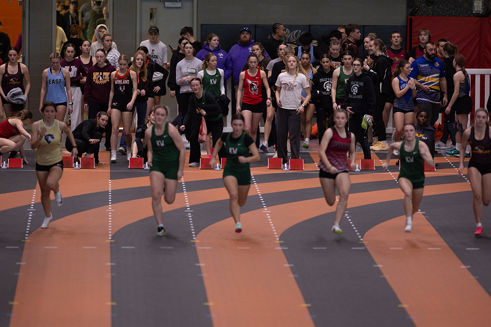 %_tempFileName1M6A4433%