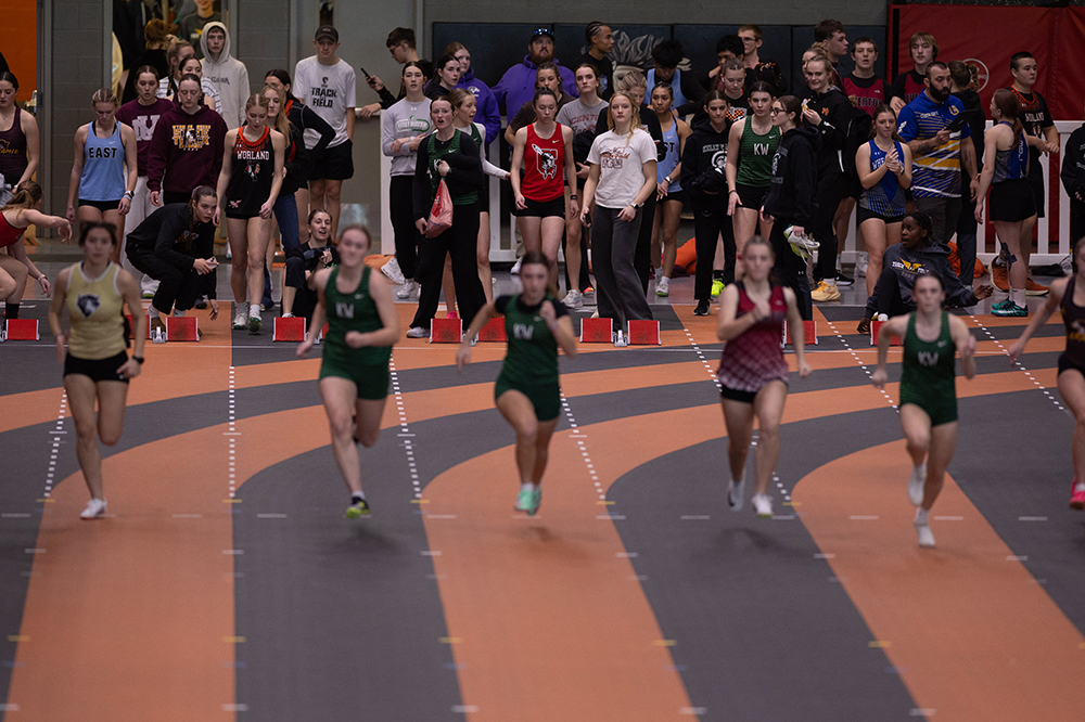 %_tempFileName1M6A4439%