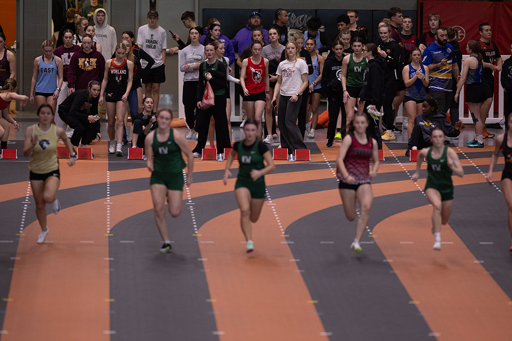 %_tempFileName1M6A4440%