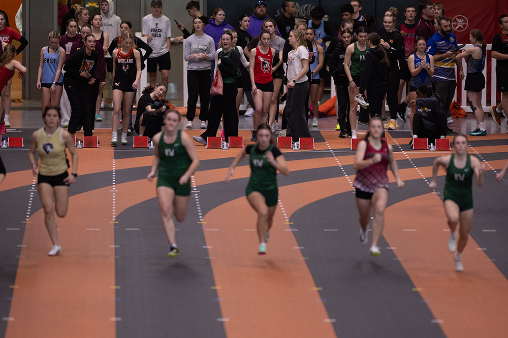 %_tempFileName1M6A4446%