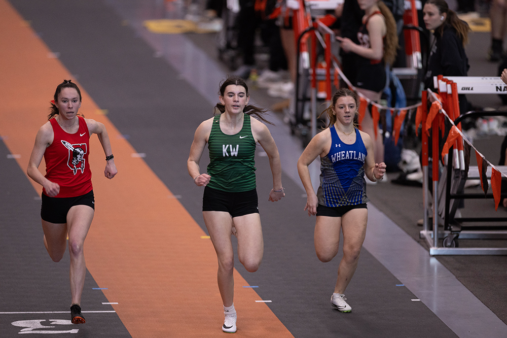 %_tempFileName1M6A4536%