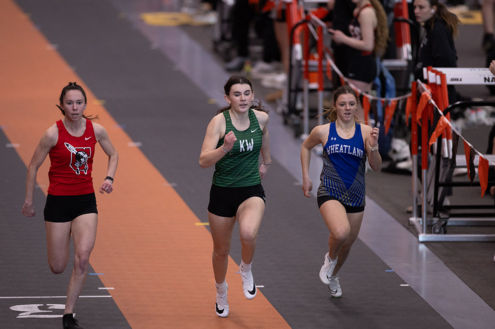 %_tempFileName1M6A4537%