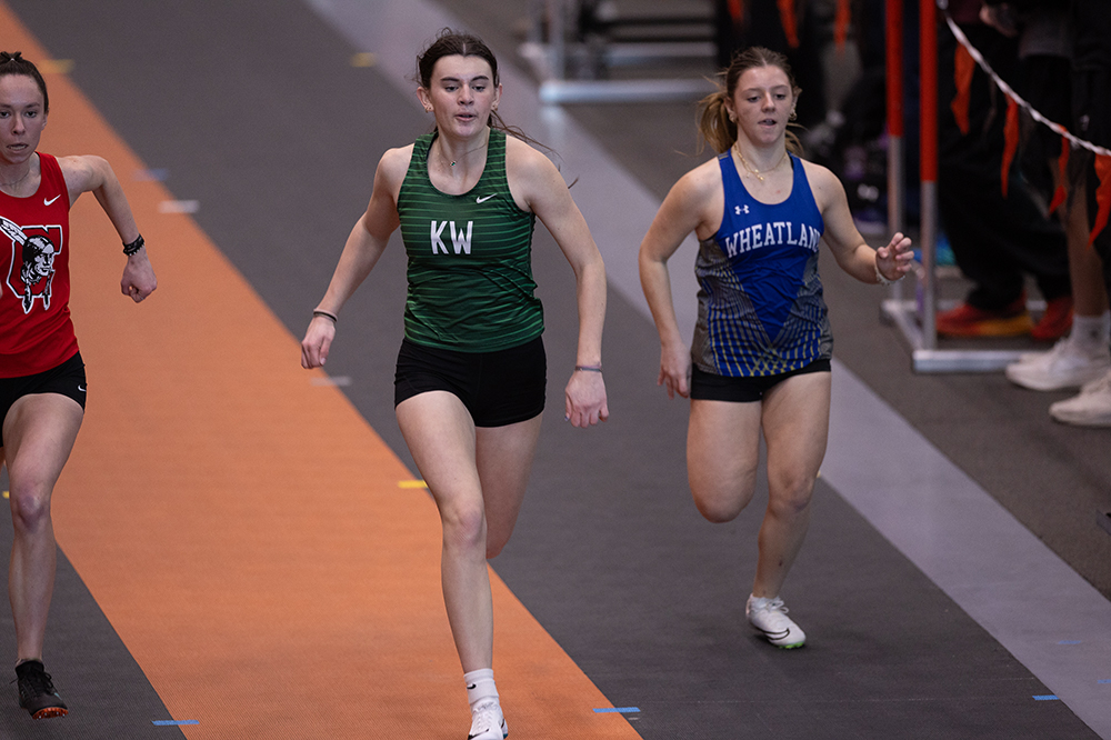 %_tempFileName1M6A4550%