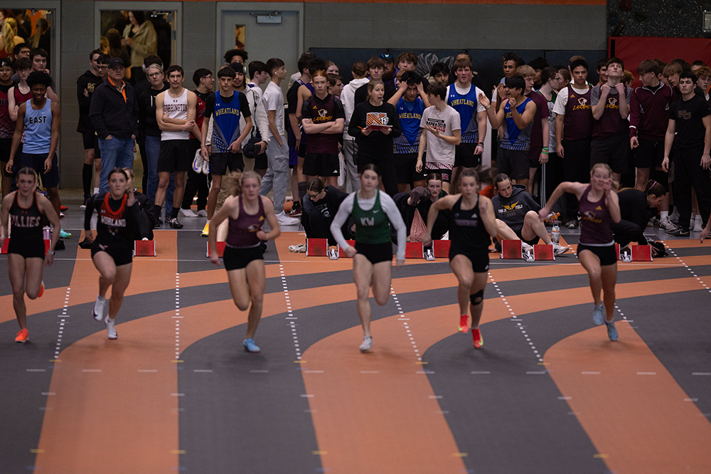 %_tempFileName1M6A4584%