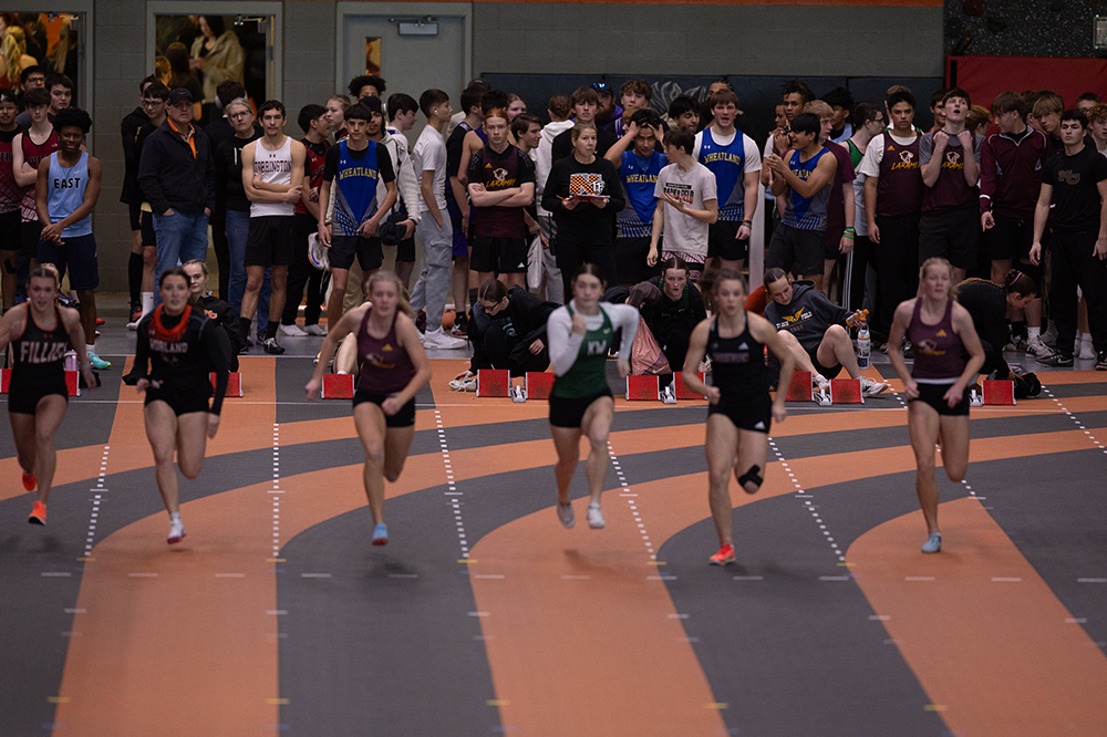 %_tempFileName1M6A4586%