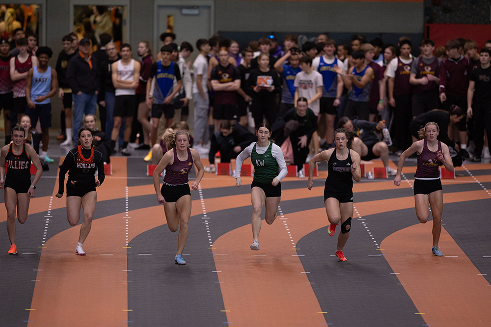 %_tempFileName1M6A4590%