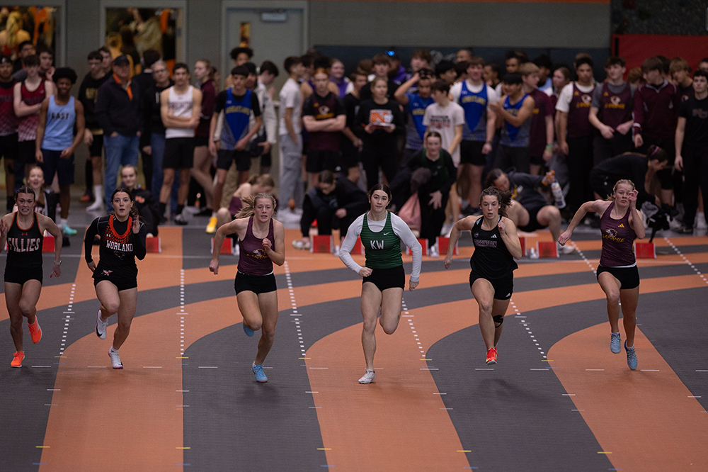 %_tempFileName1M6A4591%