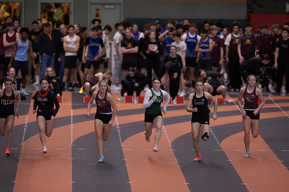 %_tempFileName1M6A4593%