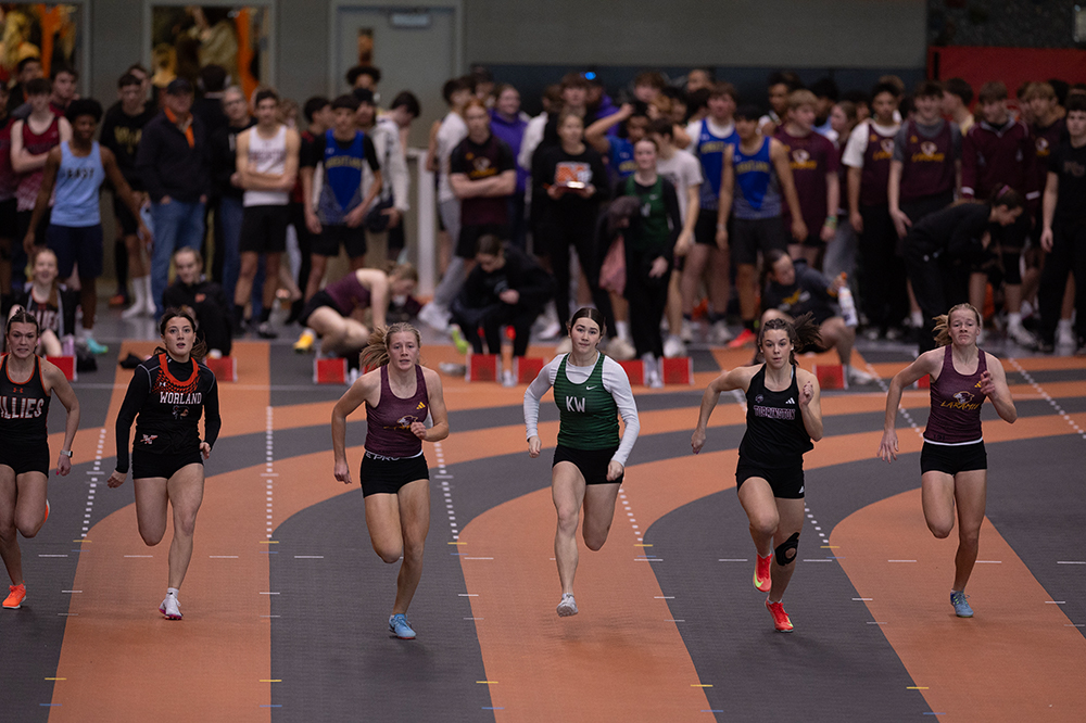 %_tempFileName1M6A4597%