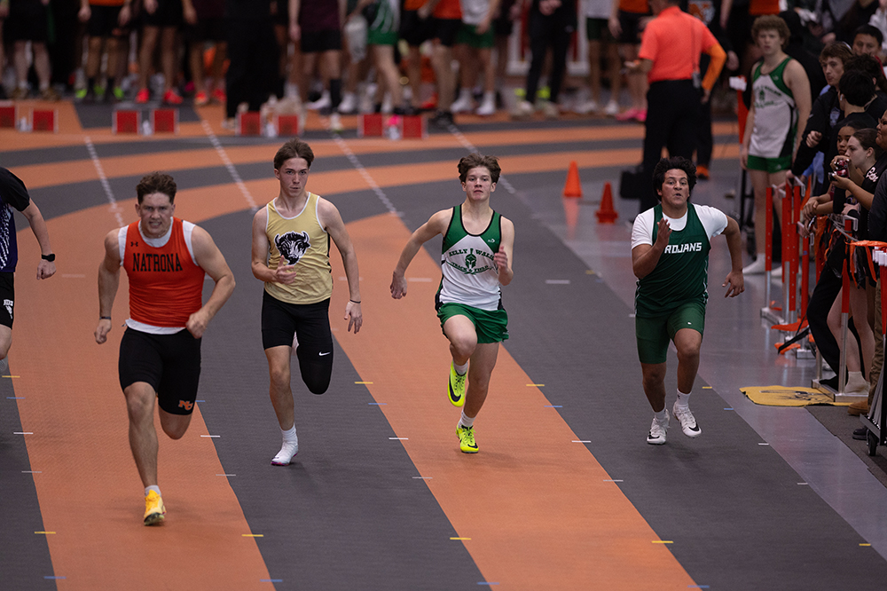 %_tempFileName1M6A4733%