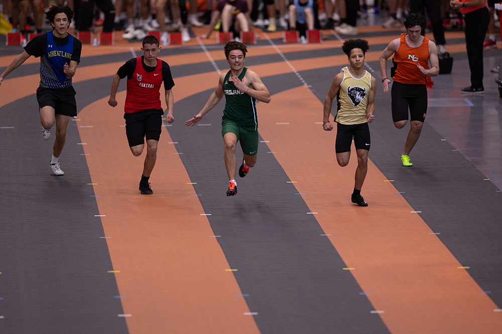 %_tempFileName1M6A4869%