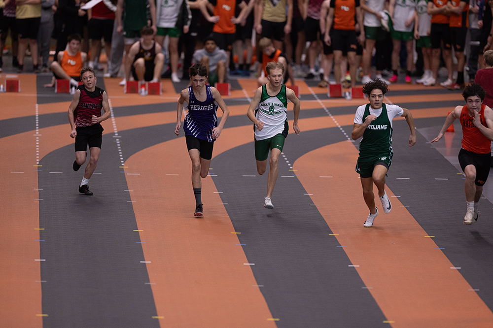 %_tempFileName1M6A4981%