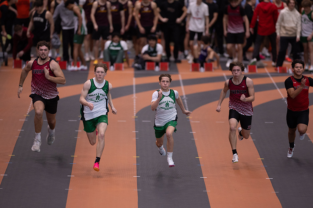 %_tempFileName1M6A5133%